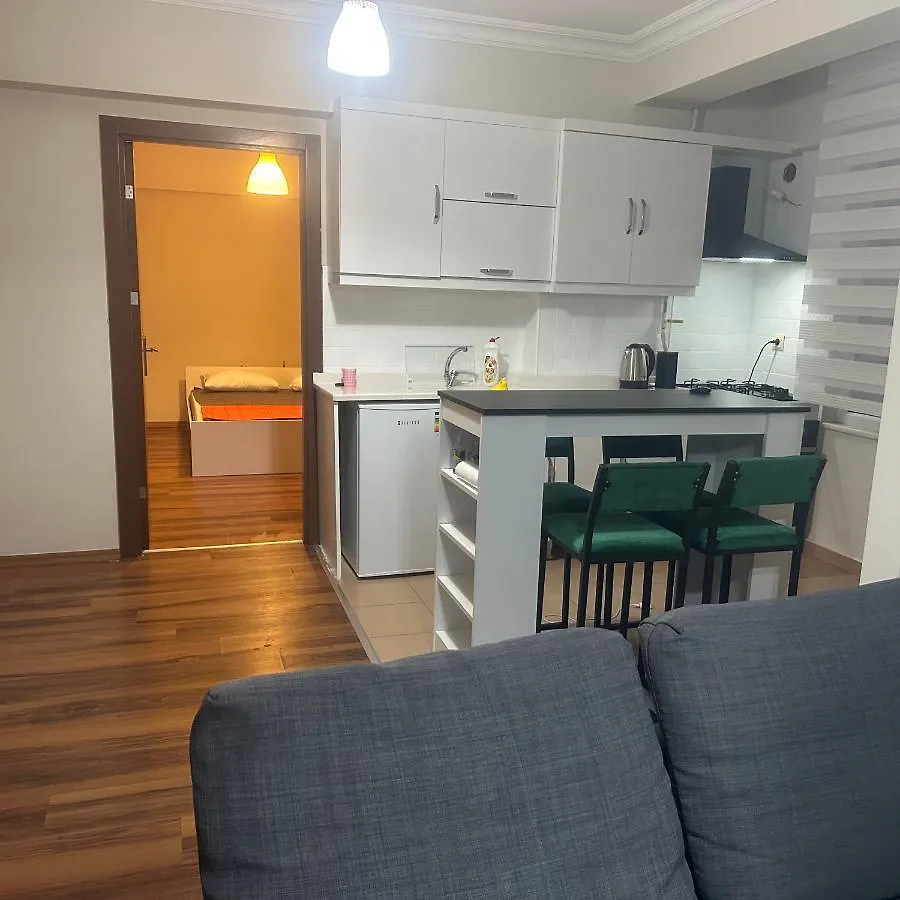 Dlk Deluxe Apartment Istanbul