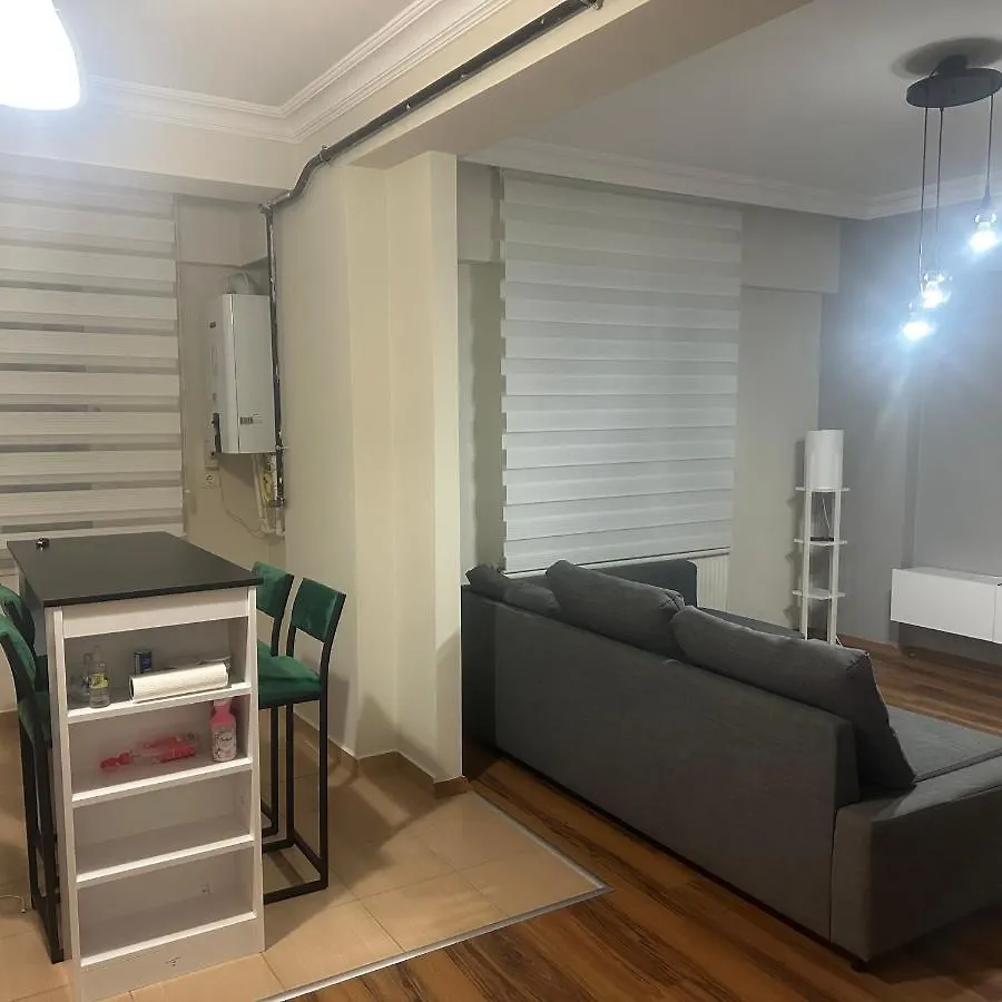 Dlk Deluxe Apartment Istanbul 0*,  Turkey