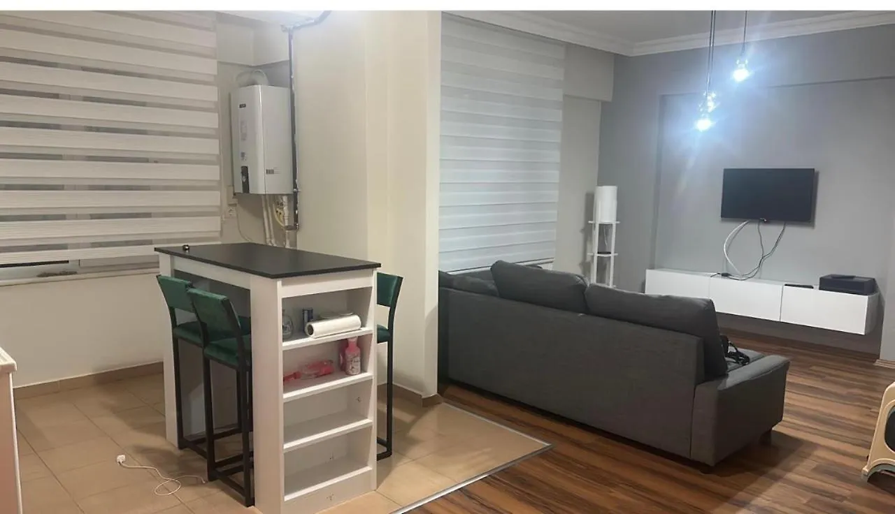Dlk Deluxe Apartment Istanbul